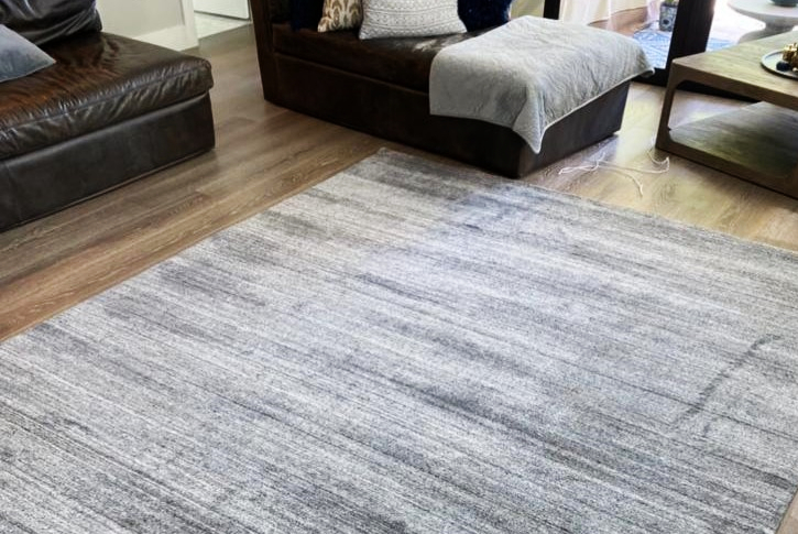 Best Carpet Stain Removal Services