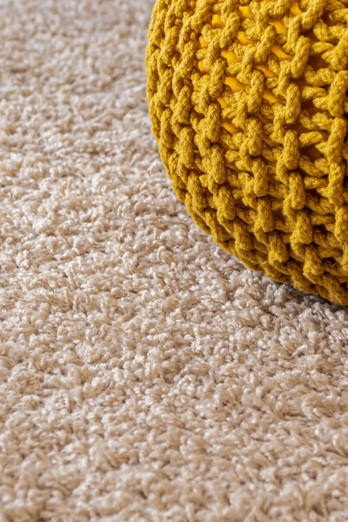 Best Carpet Cleaners Naples