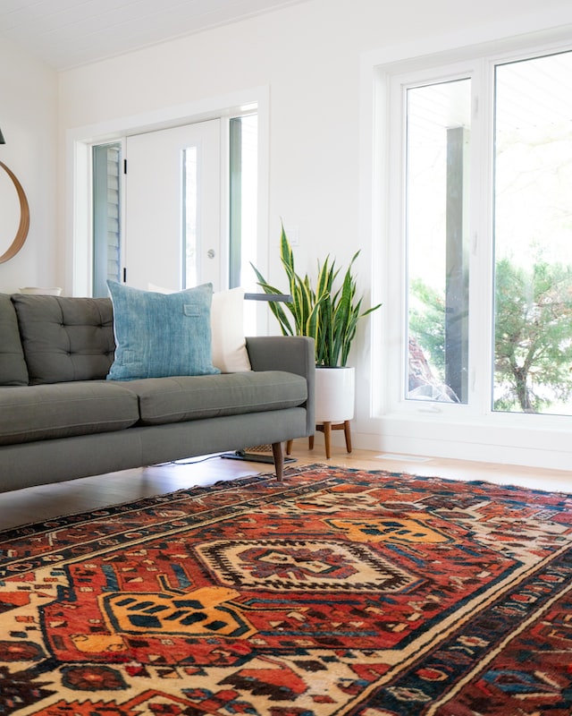 Best Pet Odor Carpet Cleaning